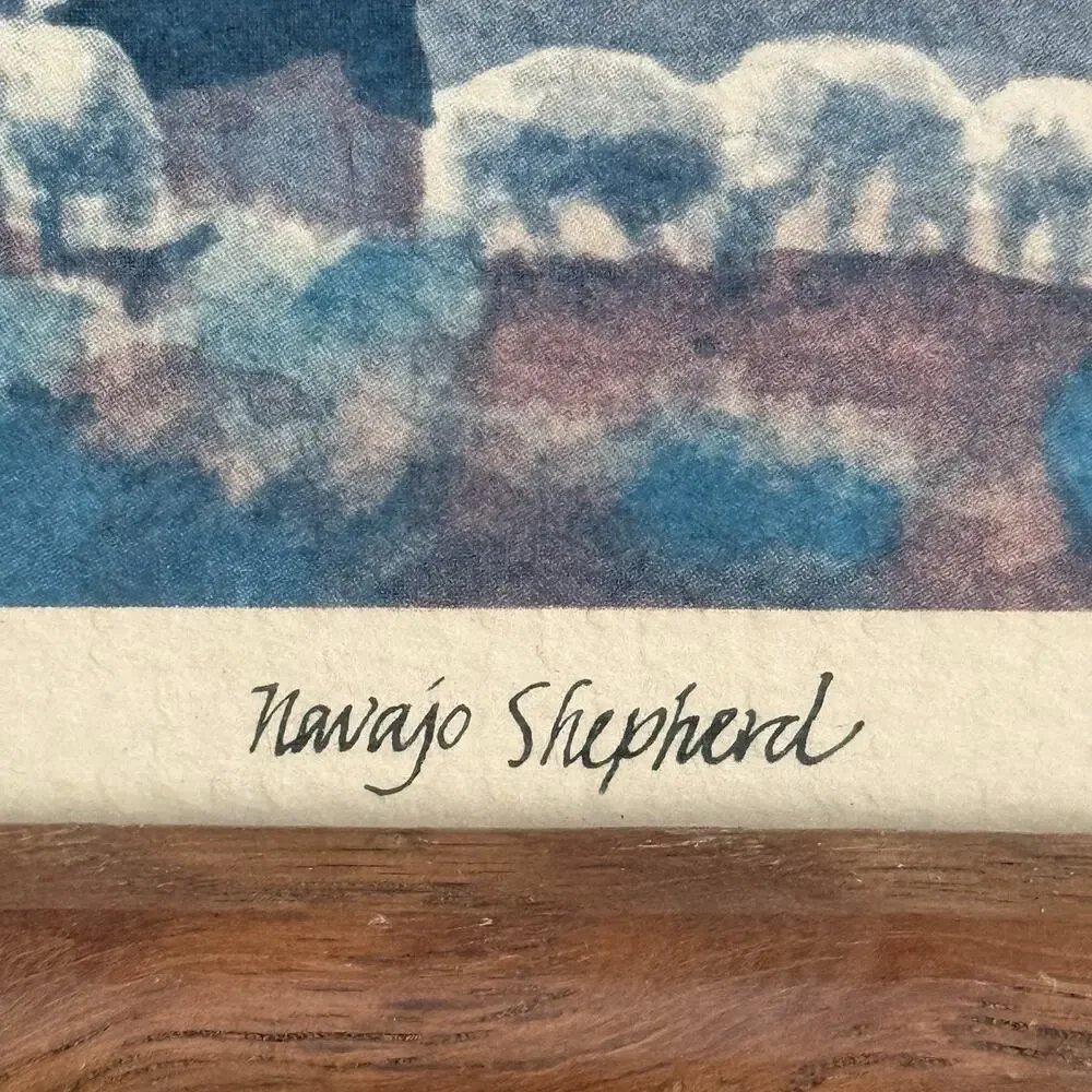 Unbranded navajo shepherd